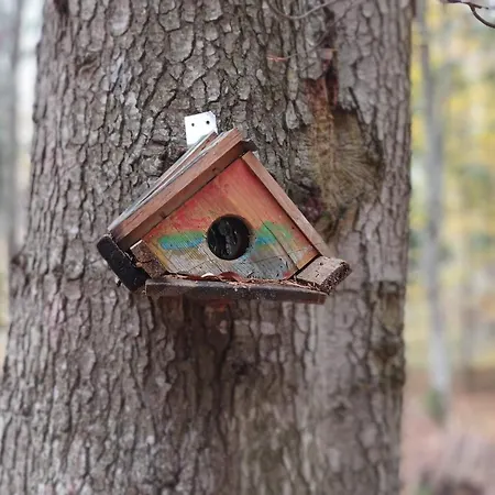 Apartment Garden Aspen A008 *