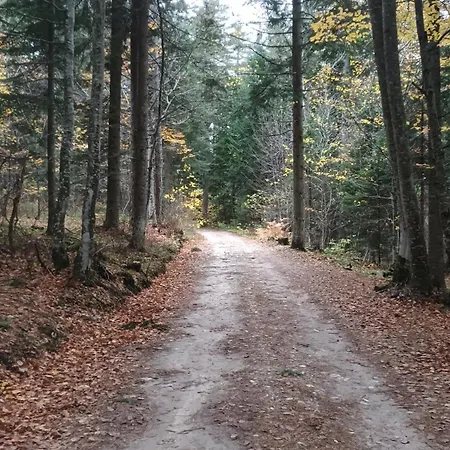 Διαμέρισμα Garden Aspen A008