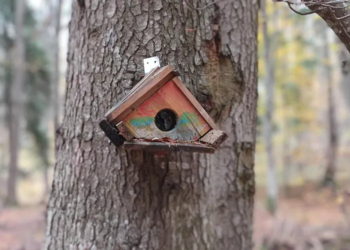 公寓 Garden Aspen A008 *