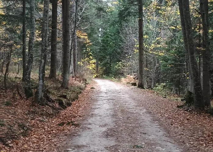 公寓 Garden Aspen A008